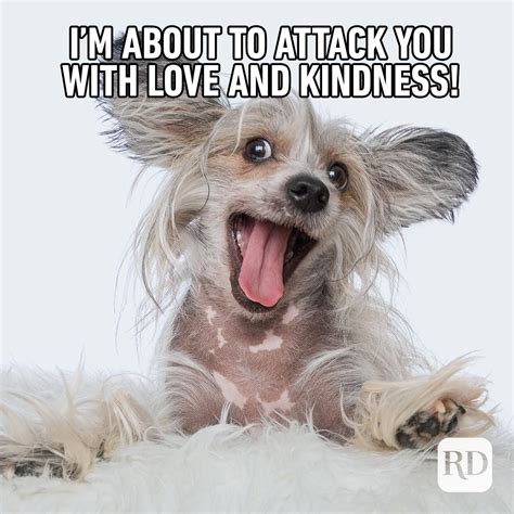 funny kindness quotes.